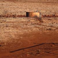A kangaroo drinks from a water tank located in a drought-effected paddock on farmer Ash Whitney\'s property, located west of the town of Gunnedah in northwestern New South Wales, in Australia, June 3. | REUTERS