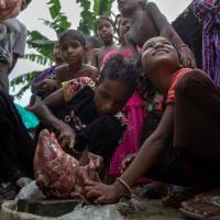 Rohingya Muslim children slice meat from a slaughtered cow at the Thet Kel Pyin camp in Rakhine state during the Eid al-Adha celebrations on AWednesday. About 120,000 Rohingya Muslims remain in squalied camps in Myanmar\'s Rakhine state living under apartheid-like conditions, cut off from adequate health care and unable to travel while more than 700,000 fled to Bangladesh during a violent army crackdown in August that the U.S. and U.N. have called ethnic cleansing. | PHYO HEIN KYAW / VIA AFP-JIJI