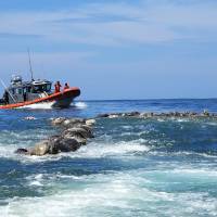 A boat of the Mexican Navy sails near turtles killed while trapped in a fishing net in the municipality of Santa Maria Colotepec, in the state of Oaxaca, Mexico, Tuesday. | FREDY GARCIA / VIA REUTERS