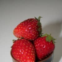 The food of love in Tochigi Prefecture | NICHOLAS WANG\" WIDTH=\"225\" HEIGHT=\"300\" /></A>[/CAPTION]