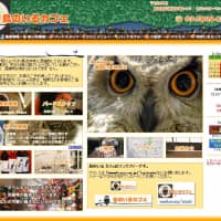 Tori no Iru Cafe — where the birds are | VIETNAM NEWS AGENCY / VIA AFP-JIJI