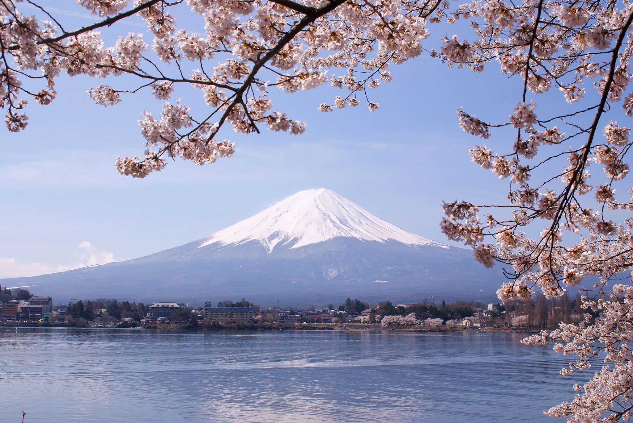 Japan Times