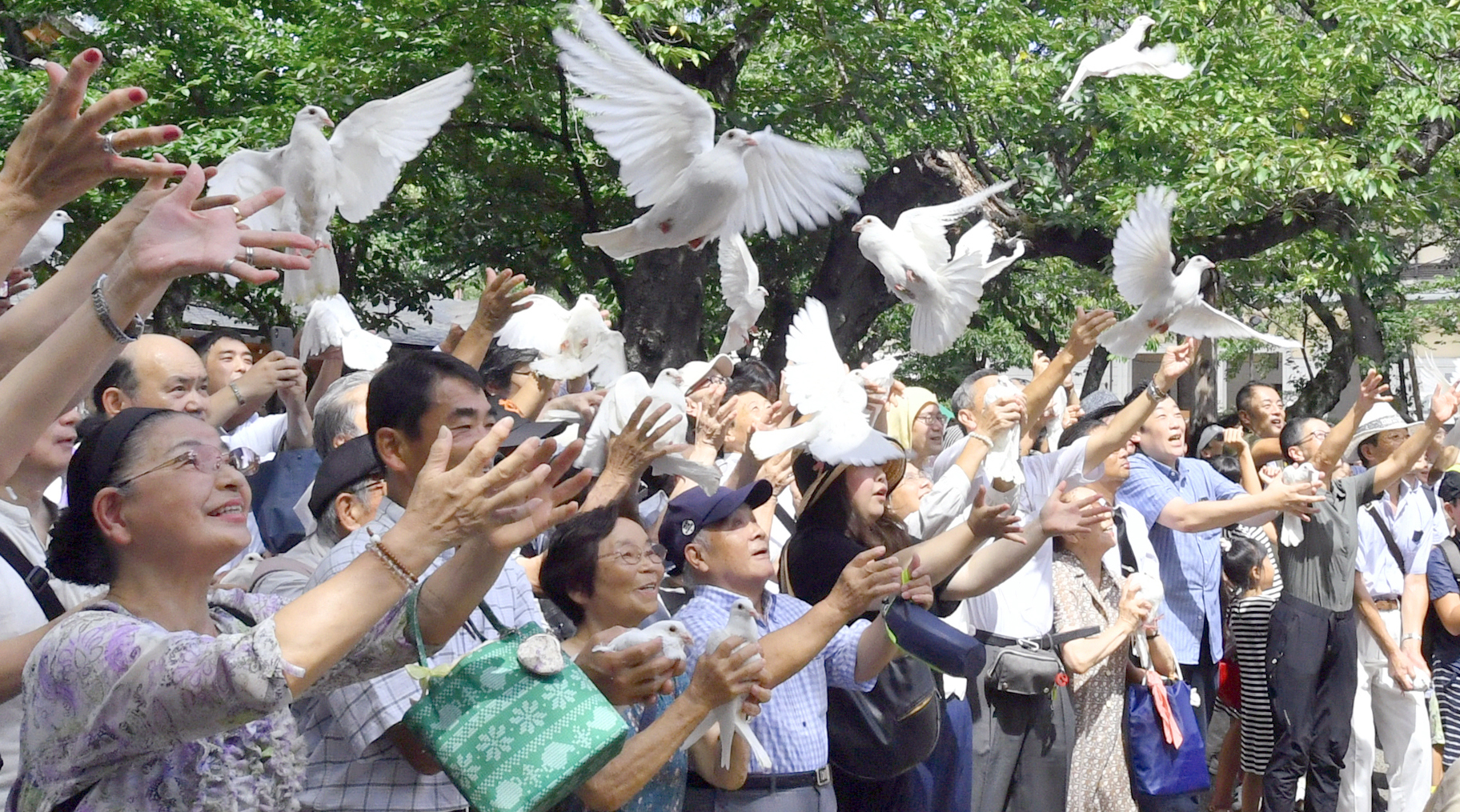 Japan Times