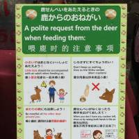 A sign in Japanese and other languages in Nara Park explains how to feed deer. | ERIC JOHNSTON