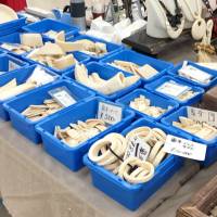 Ivory items are sold at an antique fair in Tokyo in August 2017. The Japanese arm of the Worldwide Fund for Nature has urged Yahoo Japan Corp. to impose tighter restrictions on the trade of ivory on its auction site, saying it serves as a major platform for ivory sales. | WWF JAPAN / VIA KYODO