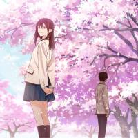 Life\'s what you make it: Sakura\'s secret is discovered by one of her classmates, an unnamed boy who then develops a deep connection with her. | © YORU SUMINO/FUTABASHA PUBLISHERS LTD 2015  © YOUR PANCREAS ANIME FILM PARTNERS