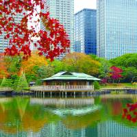 Chuo Ward\'s Hamarikyu Gardens are home to Tokyo\'s last seawater pond. | TOKYO METROPOLITAN GOVERNMENT