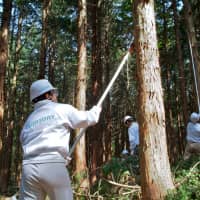 Suntory employees taking part in a forest conservation activity designed to preserve water sources. | SUNTORY HOLDINGS LTD.