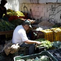 A vendor sorts parsley at a vegetable and fruit stall at a street market in Caracas Monday. | REUTERS