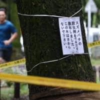 A sign attached to a tree in Meijo Park in Nagoya in late September warns visitors about hornets. | CHUNICHI SHIMBUN