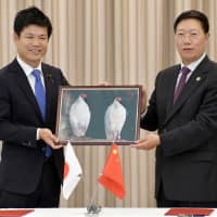 Japanese and Chinese officials pose for a photo Wednesday at Narita airport, holding a photograph of a pair of crested ibises that were given by China as a gift. | KYODO
