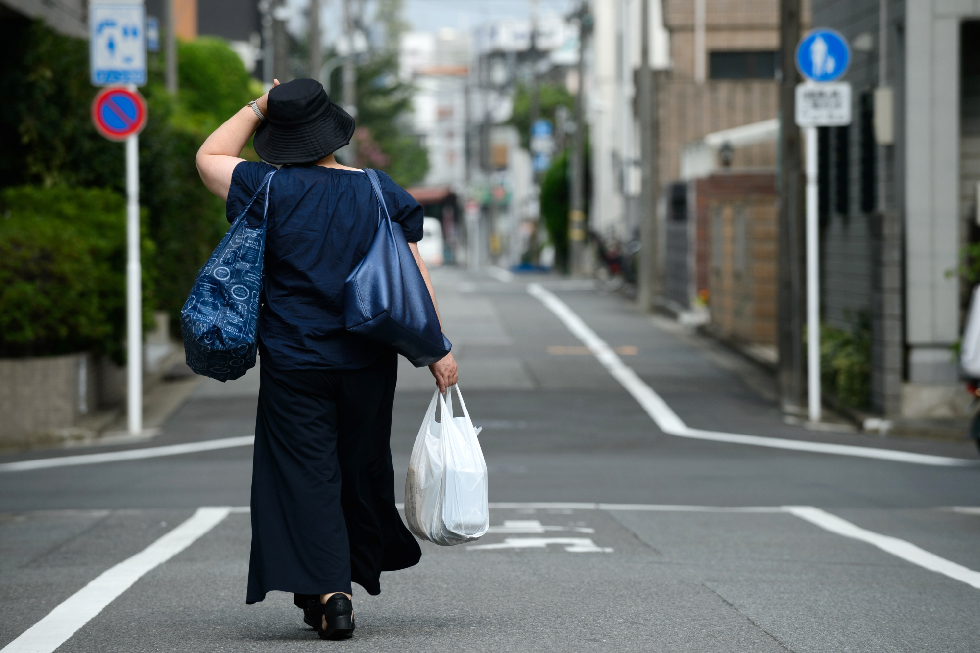 Japan Times