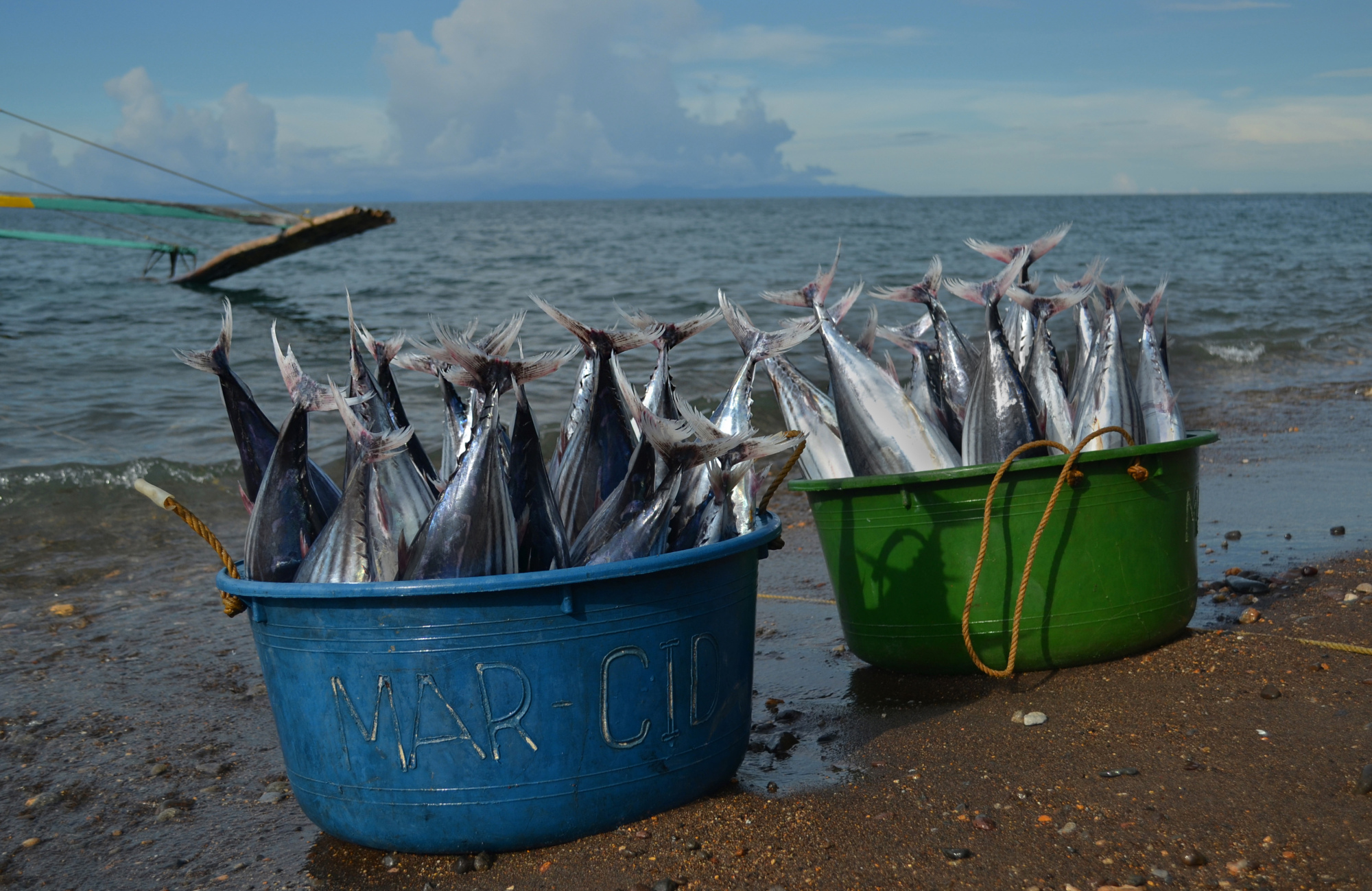 The eight Pacific island states that make up the Parties to the Nauru Agreement  may look like dots on the map, but they command an expanse of ocean greater than the size of Europe and are global powerhouses when it comes to tuna. | GETTY IMAGES