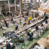 Workers with disabilities sorting foam food trays at FP Corp.\'s Kanto Recycling Plant in Yachiyo, Ibaraki Prefecture. | FP CORP.