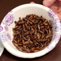 A bowl of edible freeze-dried crickets is displayed at a conference on Insects as Food at Wayne State University in Detroit in 2016. | REUTERS