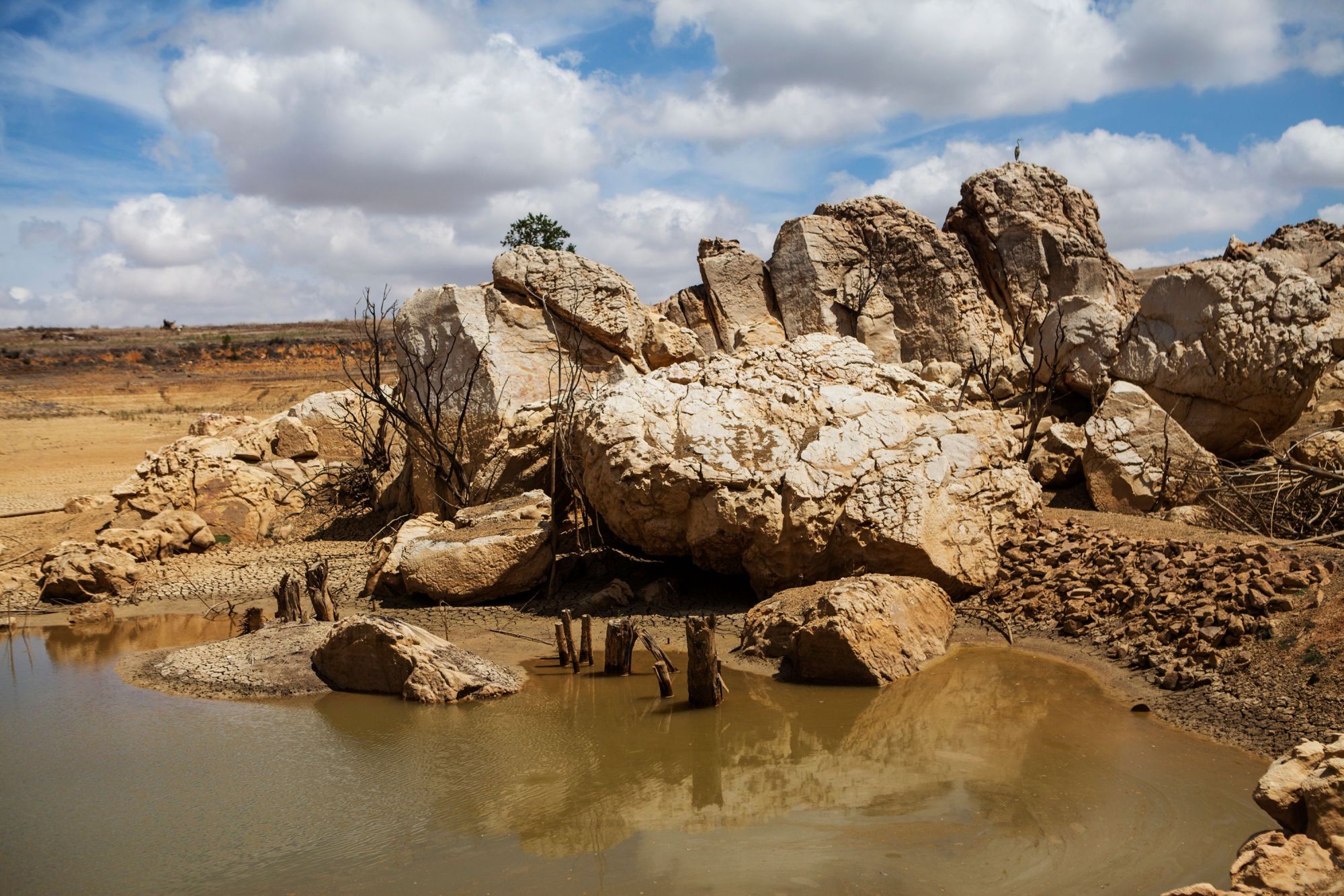 Rocks and mud are exposed by the low water level at this farm reservoir in Piket Bo-berg, Piketberg, north of Cape Town, in March. Cape Town is planning to beat future droughts by cutting down non-native trees including pine, acacia and eucalyptus. | AFP-JIJI