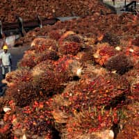 Workers stand near palm oil fruits inside a palm oil factory in Sepang, outside Kuala Lumpur, in February 2014. | REUTERS