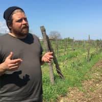 Grafted into Georgian wine culture: American John Wurdeman is the \"foster parent\" to 417 of Georgia\'s 500-plus species of grapes. | MELINDA JOE