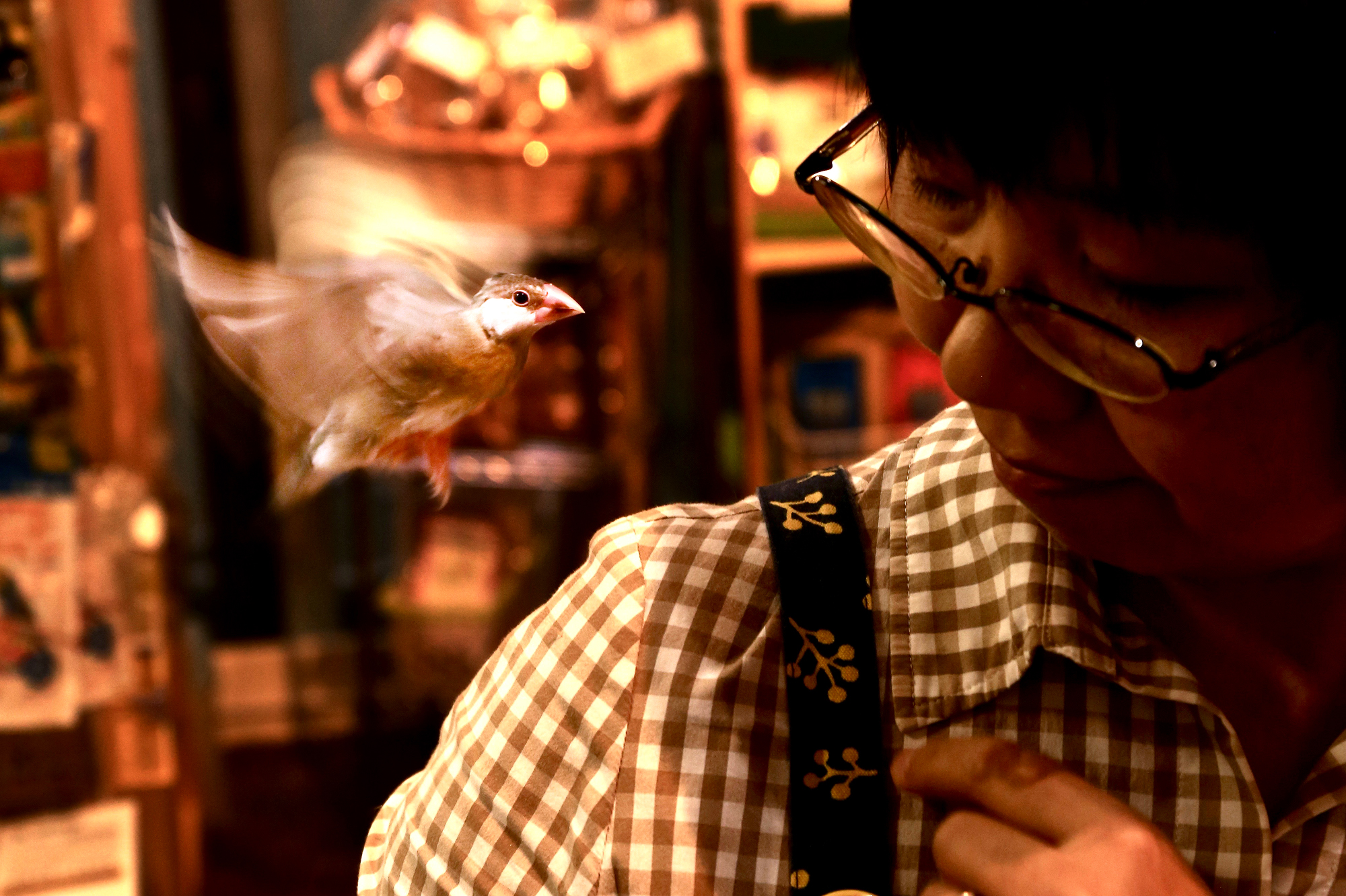 Feathered friends: A bird lands on the shoulder of Yoshiko Takahashi, owner of Doken Pet. | KIT NAGAMURA