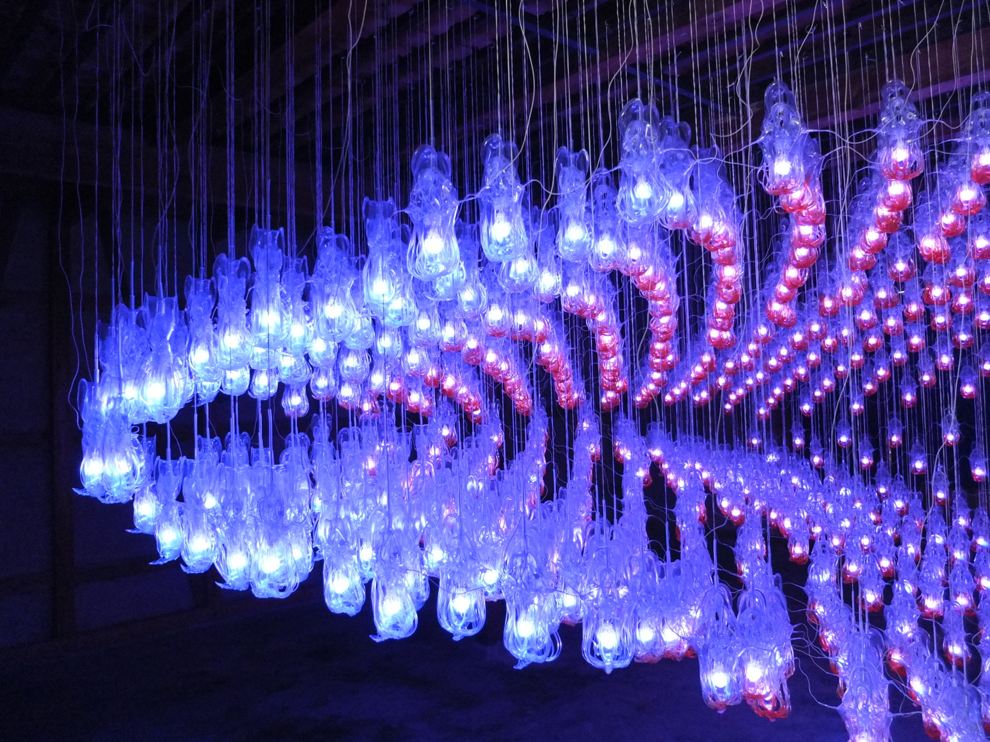 Lit up: 'Magasinoaplas' by Shimpei Kawai is a biennale highlight. | KATHERINE WHATLEY