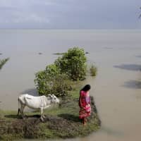 A woman walks toward an embankment after tying her cow to higher ground during high tide on Ghoramara Island, India, in September. Ghoramara has nearly halved in size over the past two decades due to rising seas, according to village elders. &#34;If a tsunami or a big cyclone hits this island we will be finished,&#34; said Sanjib Sagar, village leader on the island 150 kilometers south of Kolkata. | REUTERS