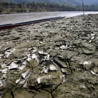 An area is uncovered by the lowering of the water level in the Magdalena river, the longest and most important river in Colombia, due to the lack of rain, in the city of Honda, Colombia, in 2016. | REUTERS