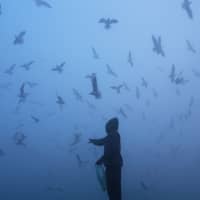 A man feeds seagulls as he stands on the banks of Yamuna river in New Delhi on Monday. | REUTERS