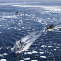 A photo provided by U.S.-based anti-whaling activist group Sea Shepherd Conservation Society shows its boat chasing a Japanese whaling vessel (center foreground) in the Antarctic Ocean in January 2011. | AP / VIA KYODO