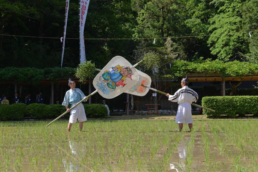Fair harvest: Giant fans are used as part of a rice planting ritual at Sarutahiko Shrine.