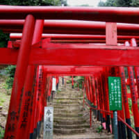 Sunrise trail: One-hundred wooden torii gates mark the path to the summit of Hiroshima\'s Mount Futaba. | ANGELES MARIN CABELLO
