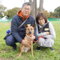 Day in the park: Hiroyuki and Michiko Tamakoshi pose with Minorca, the latest addition to their family. | MACHIKO NAKANO