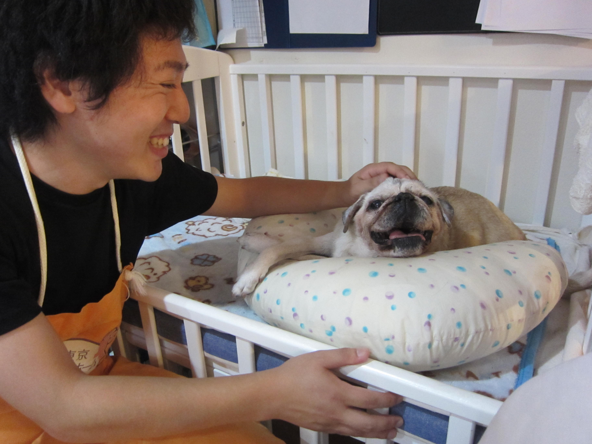 Yuto Sasaki, a care staffer at Tokyo Pet Home pets one of the pet care home's residents. | KYODO