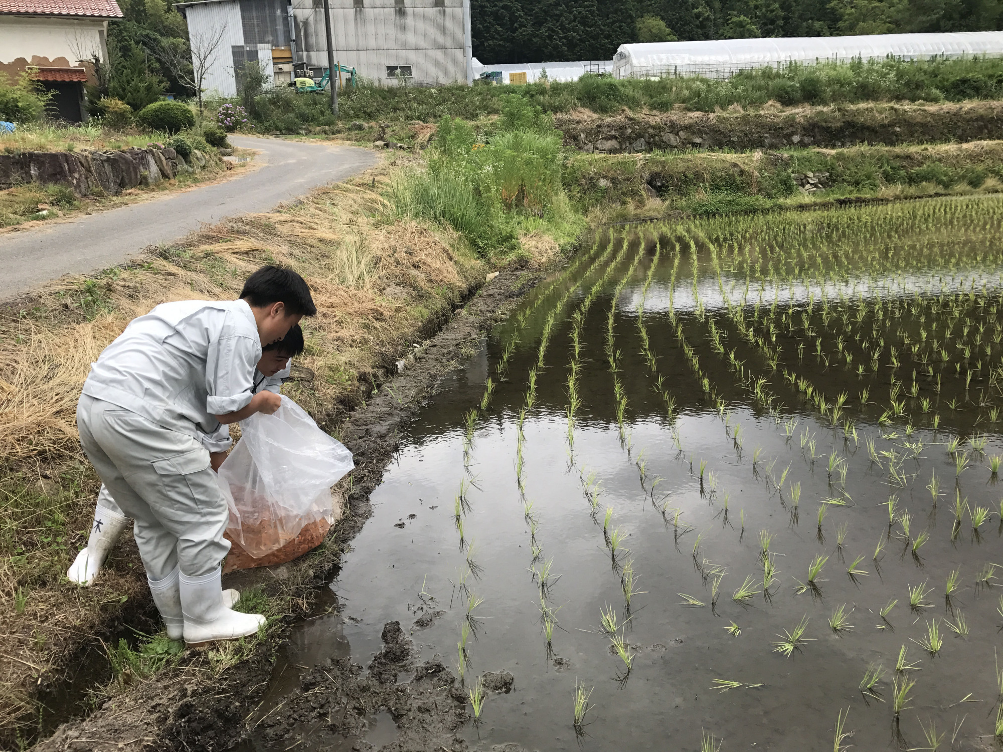 Japan Times