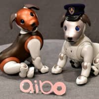 Versions of Sony\'s puppy-sized robot dog Aibo are displayed during a news conference at the company\'s headquarters in Tokyo on Wednesday. | AFP-JIJI