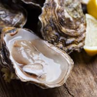 General Oyster Inc., Japan\'s largest oyster restaurant operator, has been approached by several Chinese companies interested in buying a stake or acquiring the business. | GETTY IMAGES