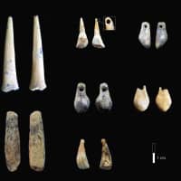 Bone points and pierced teeth, sampled for radiocarbon dating from the early Upper Paleolithic layers of the Denisova Cave in Siberia, Russia, are shown in this photo provided Wednesday. | KATERINA DOUKA / HANDOUT / VIA REUTERS
