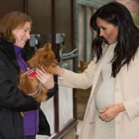 Meghan, Duchess of Sussex, meets a dog named Foxy during her visit to the animal welfare charity Mayhew in London on Wednesday. Established in 1886, Mayhew looks for innovative ways to reduce the number of animals in need through pro-active community and educational initiatives and preventative veterinary care. | AFP-JIJI