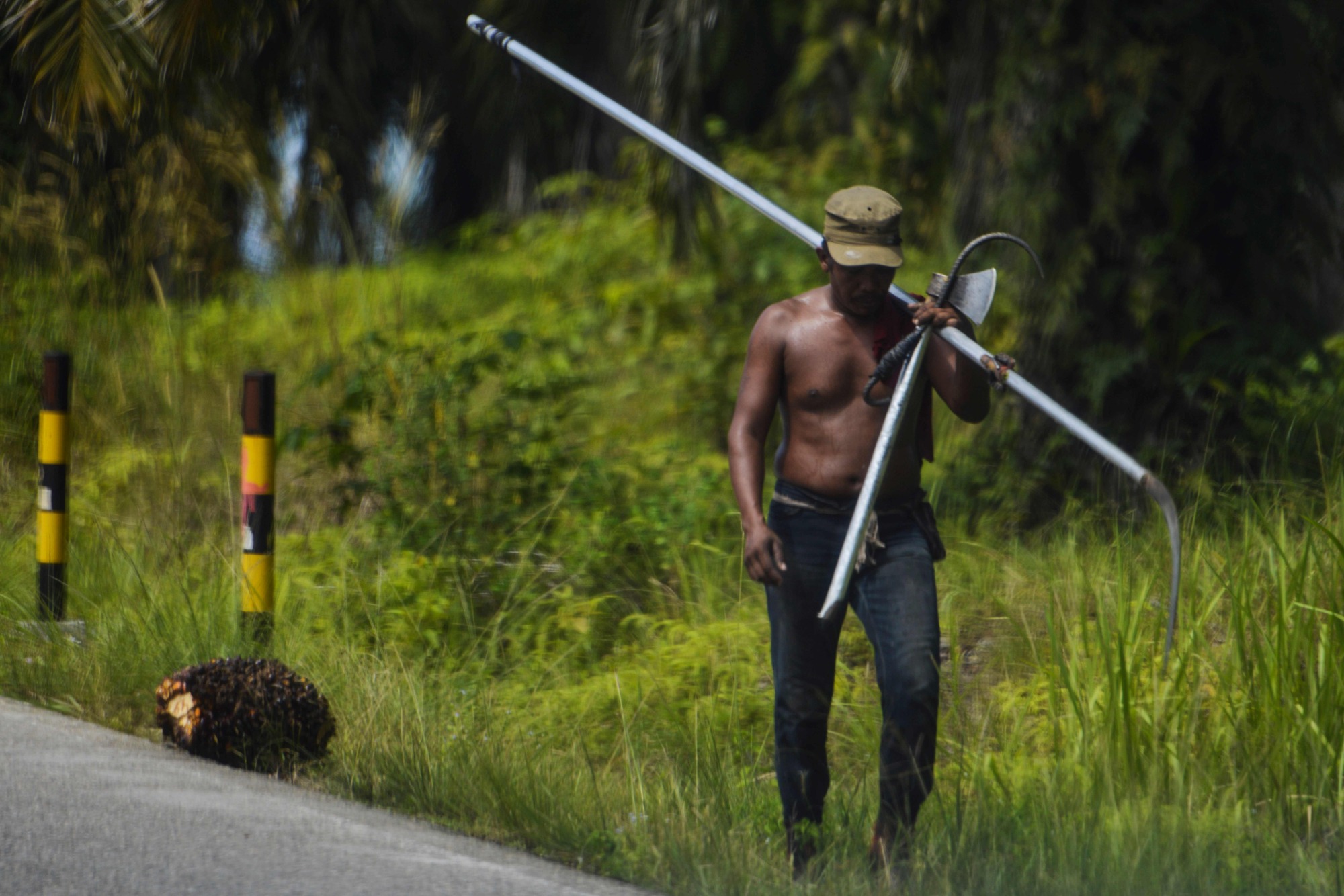 A worker, carrying tools to harvest oil palm fruit, walks along a road at a plantation in Subulussalam district in Aceh province, Indonesia, on Thursday. | AFP-JIJI