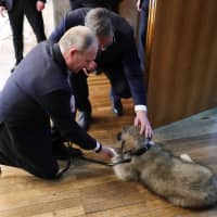 Serbian President Aleksandar Vucic presents a Yugoslavian shepherd dog puppy to his Russian counterpart, Vladimir Putin, in Belgrade on Jan. 17. | AFP-JIJI