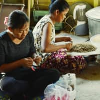 Cambodian women in the village of Anlong Pi produce paper and craft works from banana fibers. | COURTESY OF TAKUYA YAMASE