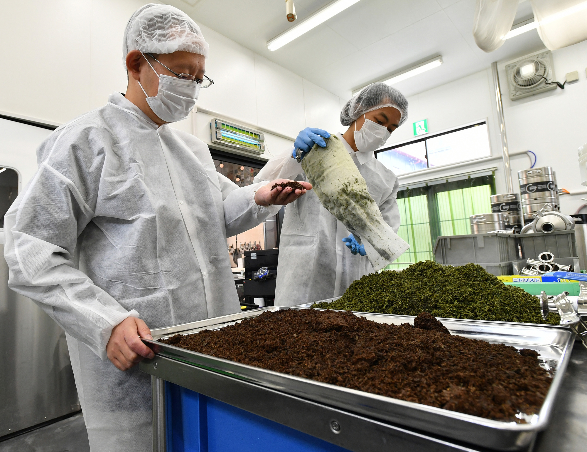 Brewer Yuji Shimada and his assistant sort used green tea and black tea leaves, which will be recycled as fertilizer. Shimada designed the kombucha brewery to be ecologically friendly, striving to produce minimum waste.