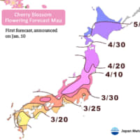 A forecast map released by Japan Meteorological Corp. shows when cherry trees are expected to start blooming across Japan. | JAPAN METEOROLOGICAL CORP.