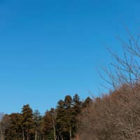 A family enjoys a picnic at Aihara Park in Sagamihara, Kanagawa Prefecture, in January. | ROBERT GILHOOLY