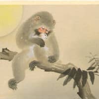 \"Monkey and Moon\" | PRIVATE COLLECTION