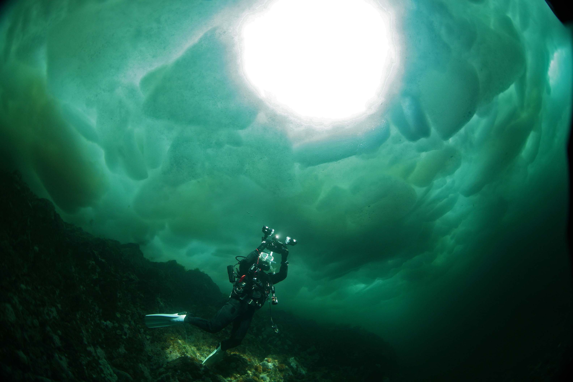 Frigid: A diver swims beneath the sea ice that travels to the Shiretoko Peninsula from Russia each winter. | HIROSHI NISHIMURA