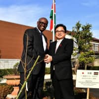 Kenyan Ambassador Solomon Karanja Maina (left) poses for a photo with Takahiro Iinuma,      a forestry policy administrator in the Agriculture, Forestry and Fisheries Ministry, on      Dec. 20 alongside two cherry blossom trees donated by the Fukushima government that have been planted on the grounds of the Kenyan Embassy. yoshiaki miura | YOSHIAKI MIURA