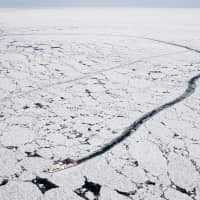 A sightseeing icebreaker carrying tourists makes a channel through drift ice covering part of the Sea of Okhotsk off Abashiri, in eastern Hokkaido, on Wednesday. On Tuesday, the local weather observatory announced sea ice had reached Abashiri, making it hard for ordinary ships to use the port. | KYODO