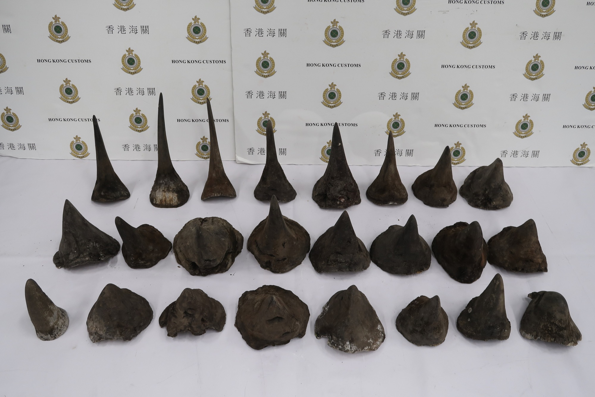 Rhino horns seized by Hong Kong customs | HONG KONG CUSTOMS AND EXCISE DEPARTMENT / HONG KONG CUSTOMS AND EXCISE DEPARTMENT / VIA AFP-JIJI