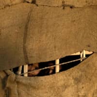 Rohingya girls peep out from a makeshift shelter on Monday at the Balukhali refugee camp in Cox\'s Bazar, Bangladesh. | AFP-JIJI