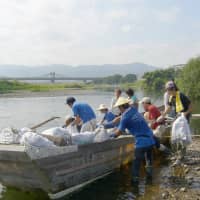 The amount of plastic litter along the Hozu River in Kameoka has declined amid rising public awareness and clean-up efforts. | COURTESEY OF PROJECT HOZUGAWA